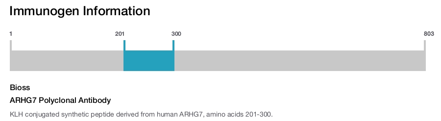ARHG7 Polyclonal Antibody