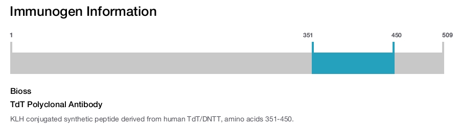 TdT Polyclonal Antibody
