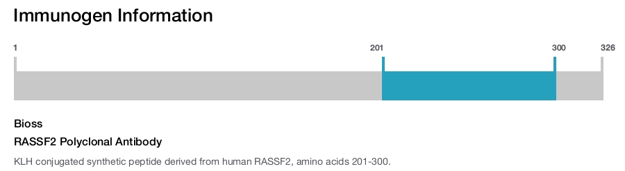 RASSF2 Polyclonal Antibody