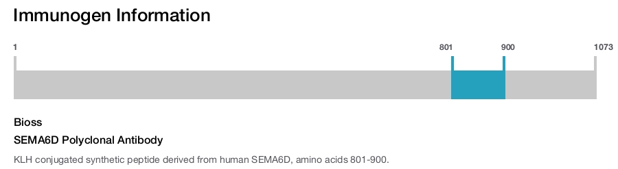 SEMA6D Polyclonal Antibody