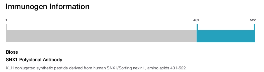 SNX1 Polyclonal Antibody