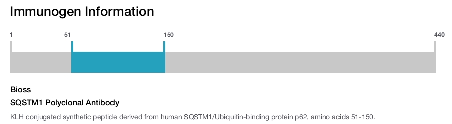 SQSTM1 Polyclonal Antibody