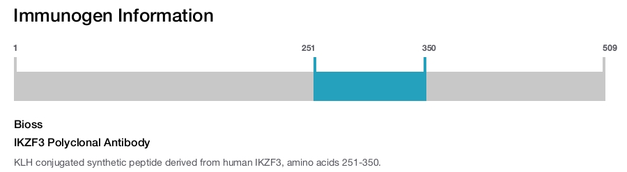 IKZF3 Polyclonal Antibody