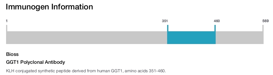 GGT1 Polyclonal Antibody