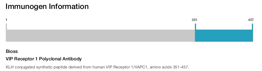VIP Receptor 1 Polyclonal Antibody