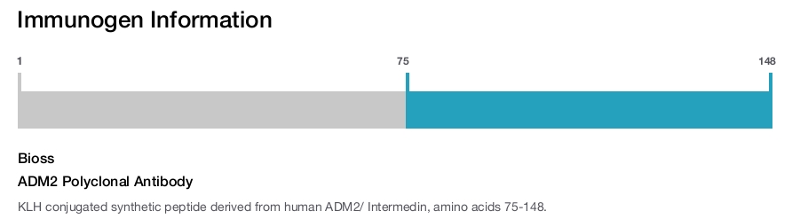 ADM2 Polyclonal Antibody