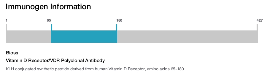 Vitamin D Receptor/VDR Polyclonal Antibody