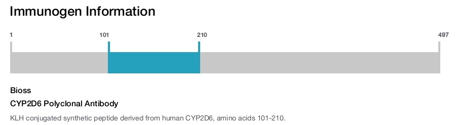 CYP2D6 Polyclonal Antibody
