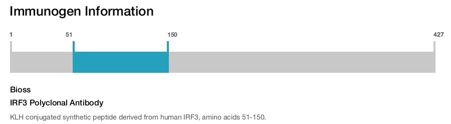 IRF3 Polyclonal Antibody