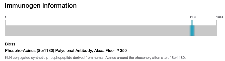 Phospho-Acinus (Ser1180) Polyclonal Antibody, Alexa Fluor&trade; 350