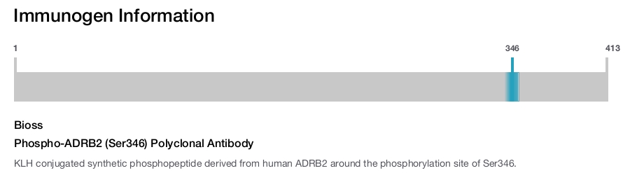 Phospho-ADRB2 (Ser346) Polyclonal Antibody