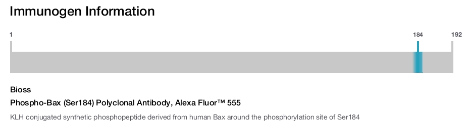Phospho-Bax (Ser184) Polyclonal Antibody, Alexa Fluor&trade; 555