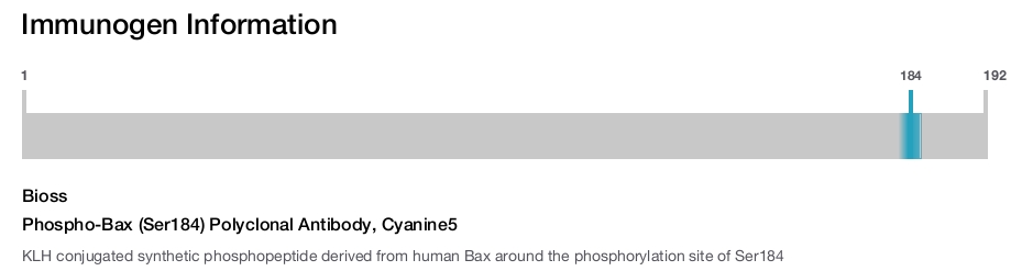 Phospho-Bax (Ser184) Polyclonal Antibody, Cyanine5