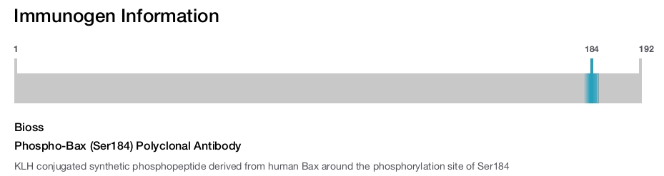 Phospho-Bax (Ser184) Polyclonal Antibody