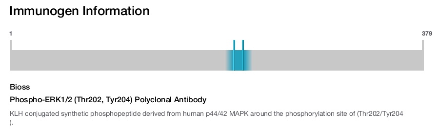 Phospho-ERK1/2 (Thr202, Tyr204) Polyclonal Antibody