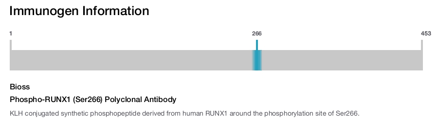 Phospho-RUNX1 (Ser266) Polyclonal Antibody