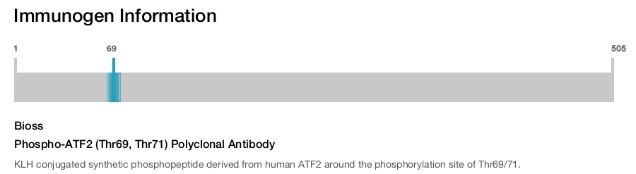 Phospho-ATF2 (Thr69, Thr71) Polyclonal Antibody