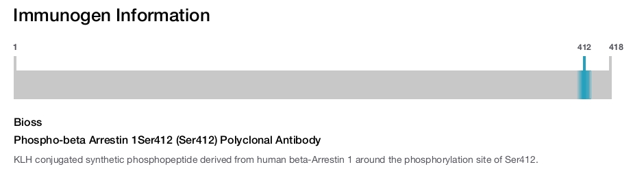 Phospho-beta Arrestin 1Ser412 (Ser412) Polyclonal Antibody