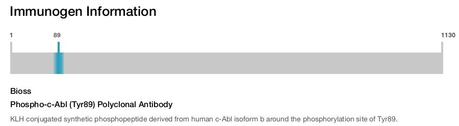 Phospho-c-Abl (Tyr89) Polyclonal Antibody