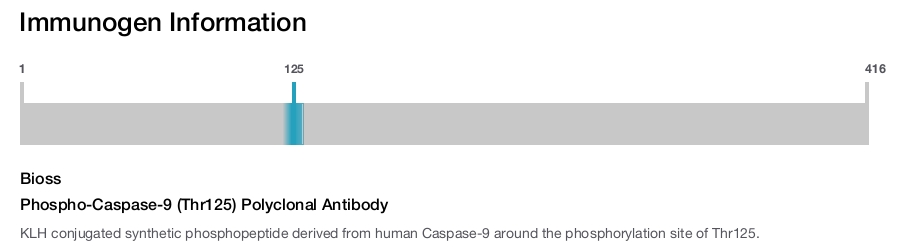 Phospho-Caspase-9 (Thr125) Polyclonal Antibody