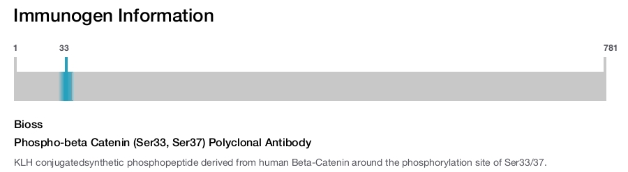 Phospho-beta Catenin (Ser33, Ser37) Polyclonal Antibody