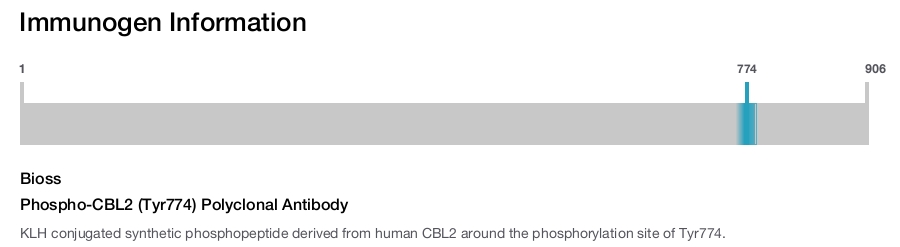 Phospho-CBL2 (Tyr774) Polyclonal Antibody