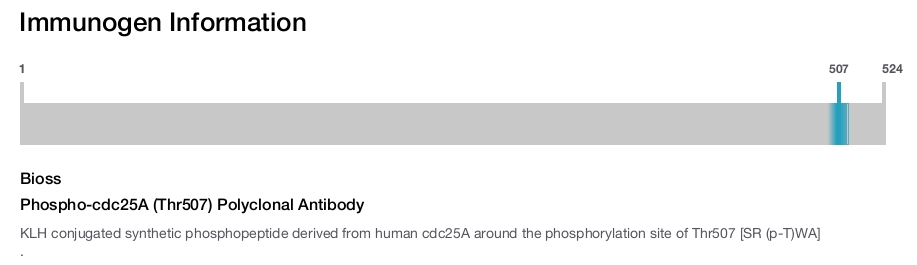 Phospho-cdc25A (Thr507) Polyclonal Antibody