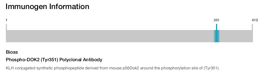 Phospho-DOK2 (Tyr351) Polyclonal Antibody