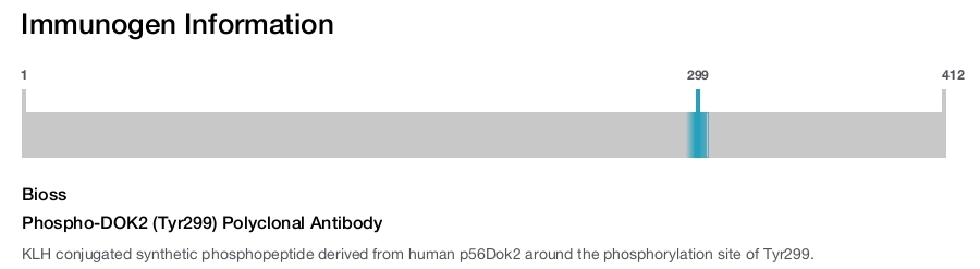 Phospho-DOK2 (Tyr299) Polyclonal Antibody