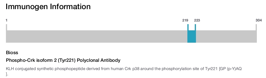 Phospho-Crk isoform 2 (Tyr221) Polyclonal Antibody