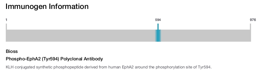 Phospho-EphA2 (Tyr594) Polyclonal Antibody