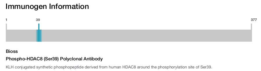 Phospho-HDAC8 (Ser39) Polyclonal Antibody