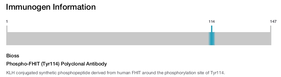 Phospho-FHIT (Tyr114) Polyclonal Antibody