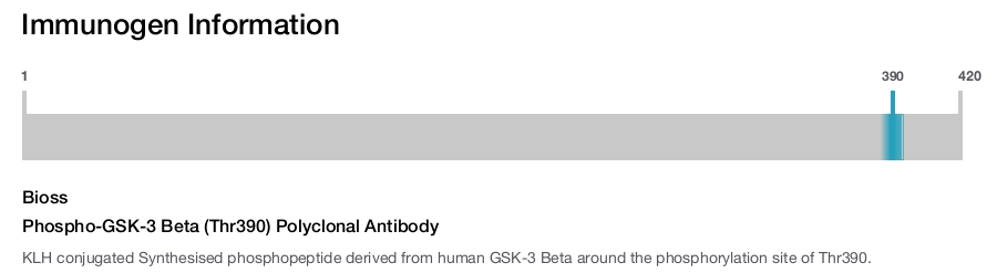Phospho-GSK-3 Beta (Thr390) Polyclonal Antibody