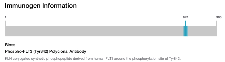Phospho-FLT3 (Tyr842) Polyclonal Antibody