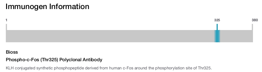 Phospho-c-Fos (Thr325) Polyclonal Antibody