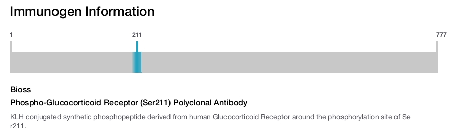 Phospho-Glucocorticoid Receptor (Ser211) Polyclonal Antibody