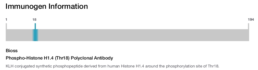 Phospho-Histone H1.4 (Thr18) Polyclonal Antibody