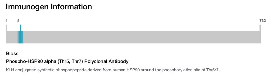 Phospho-HSP90 alpha (Thr5, Thr7) Polyclonal Antibody