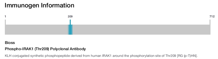 Phospho-IRAK1 (Thr209) Polyclonal Antibody