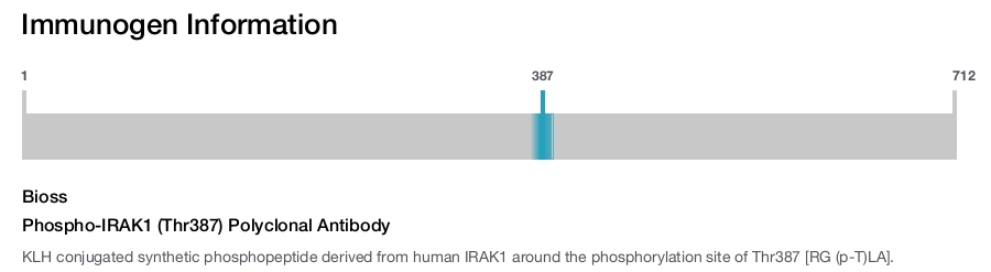 Phospho-IRAK1 (Thr387) Polyclonal Antibody