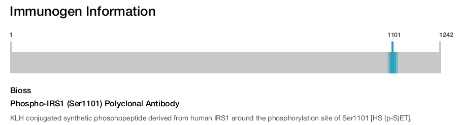Phospho-IRS1 (Ser1101) Polyclonal Antibody