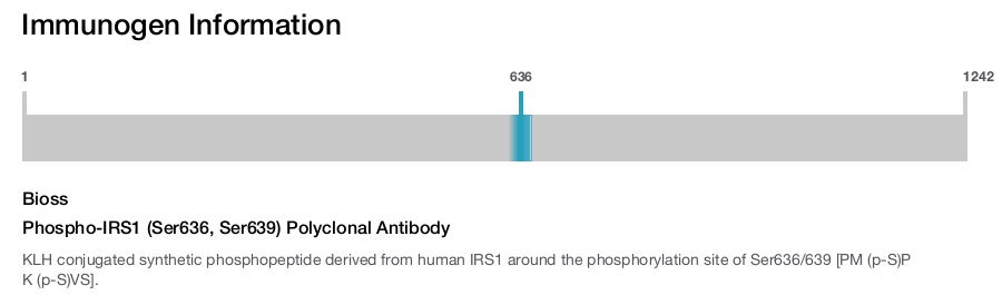 Phospho-IRS1 (Ser636, Ser639) Polyclonal Antibody