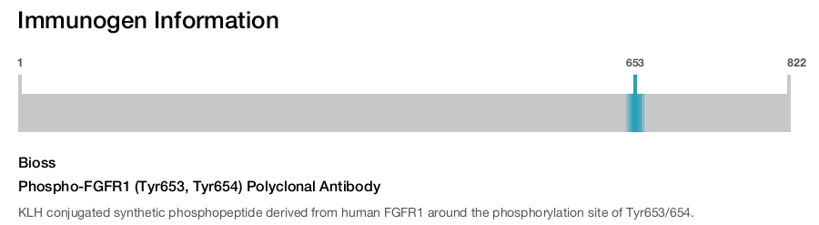 Phospho-FGFR1 (Tyr653, Tyr654) Polyclonal Antibody