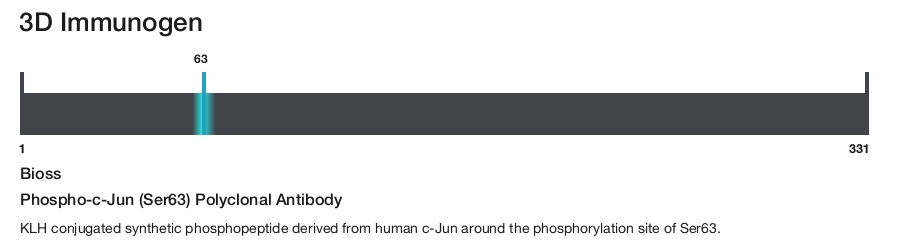 Phospho-c-Jun (Ser63) Polyclonal Antibody