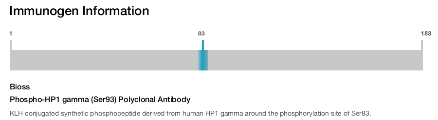 Phospho-HP1 gamma (Ser93) Polyclonal Antibody