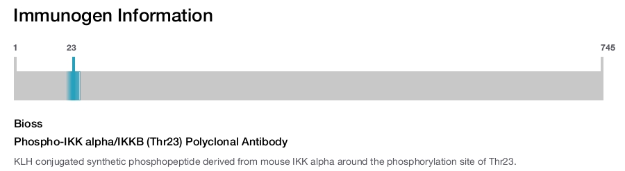 Phospho-IKK alpha/IKKB (Thr23) Polyclonal Antibody