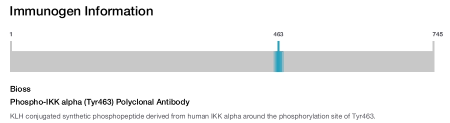 Phospho-IKK alpha (Tyr463) Polyclonal Antibody