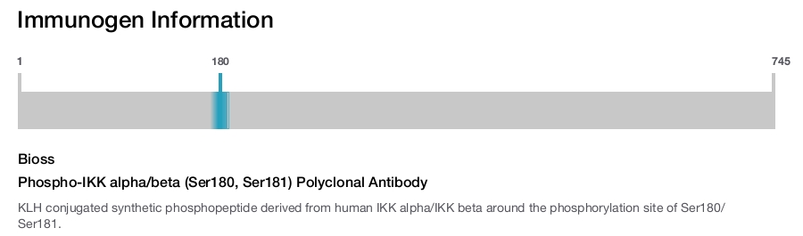 Phospho-IKK alpha/beta (Ser180, Ser181) Polyclonal Antibody