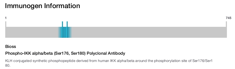 Phospho-IKK alpha/beta (Ser176, Ser180) Polyclonal Antibody